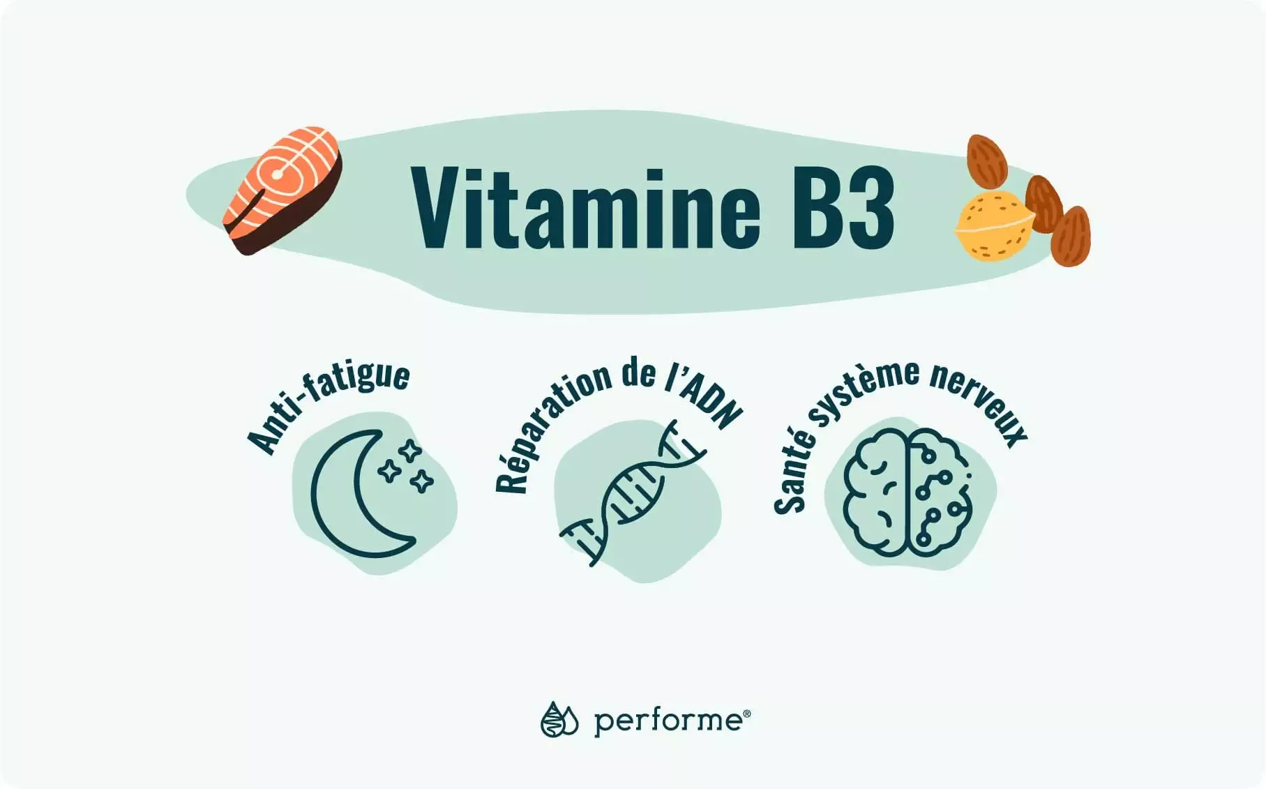 Fonctions et sources de la vitamine B3