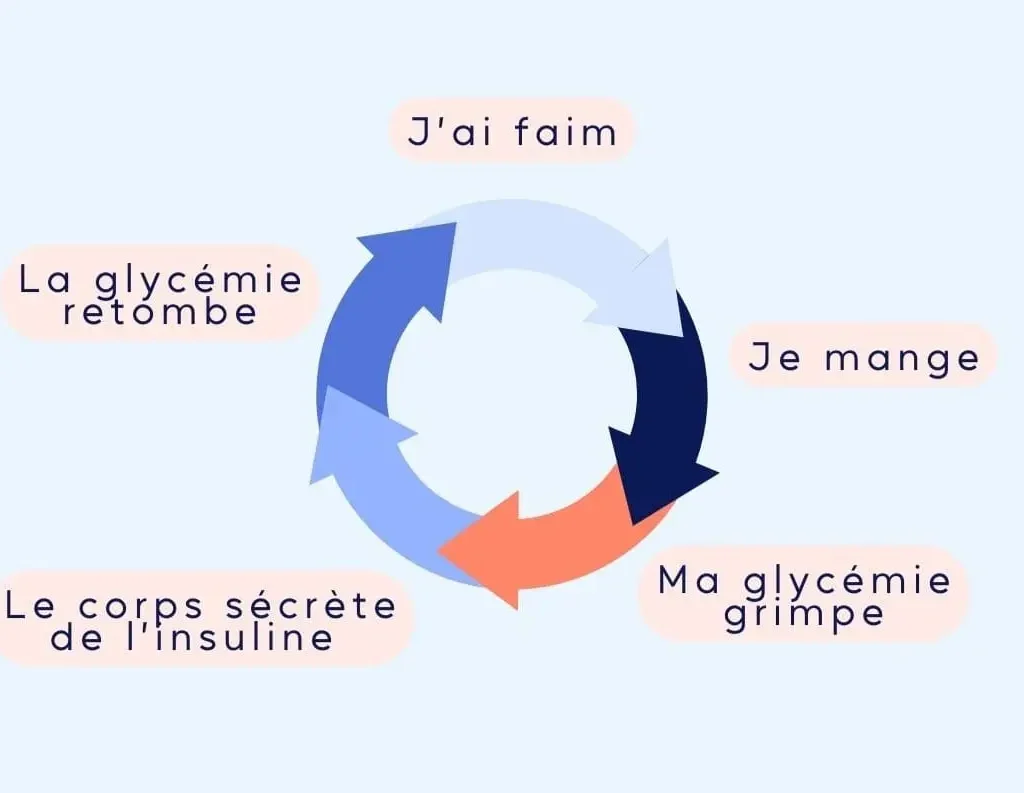 Cercle vicieux de la glycémie