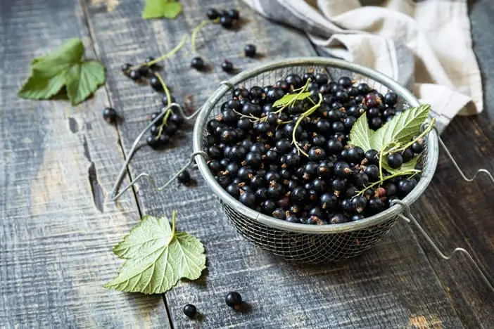 Cassis : meilleur fruit français