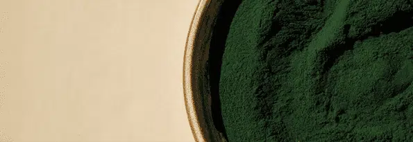 Spiruline : un remède naturel anti-fatigue